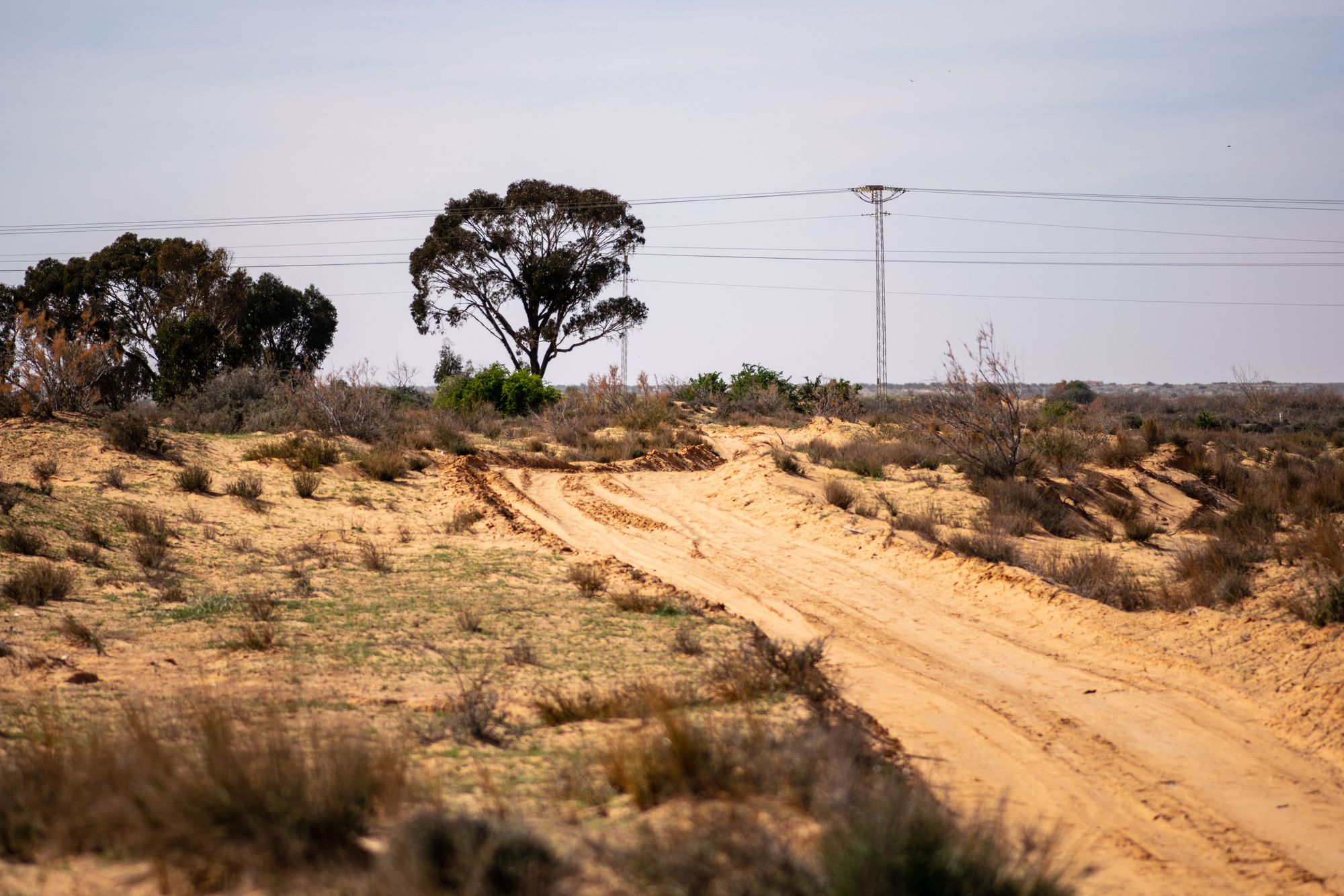 The sandy tracks we met up with off of the main road.