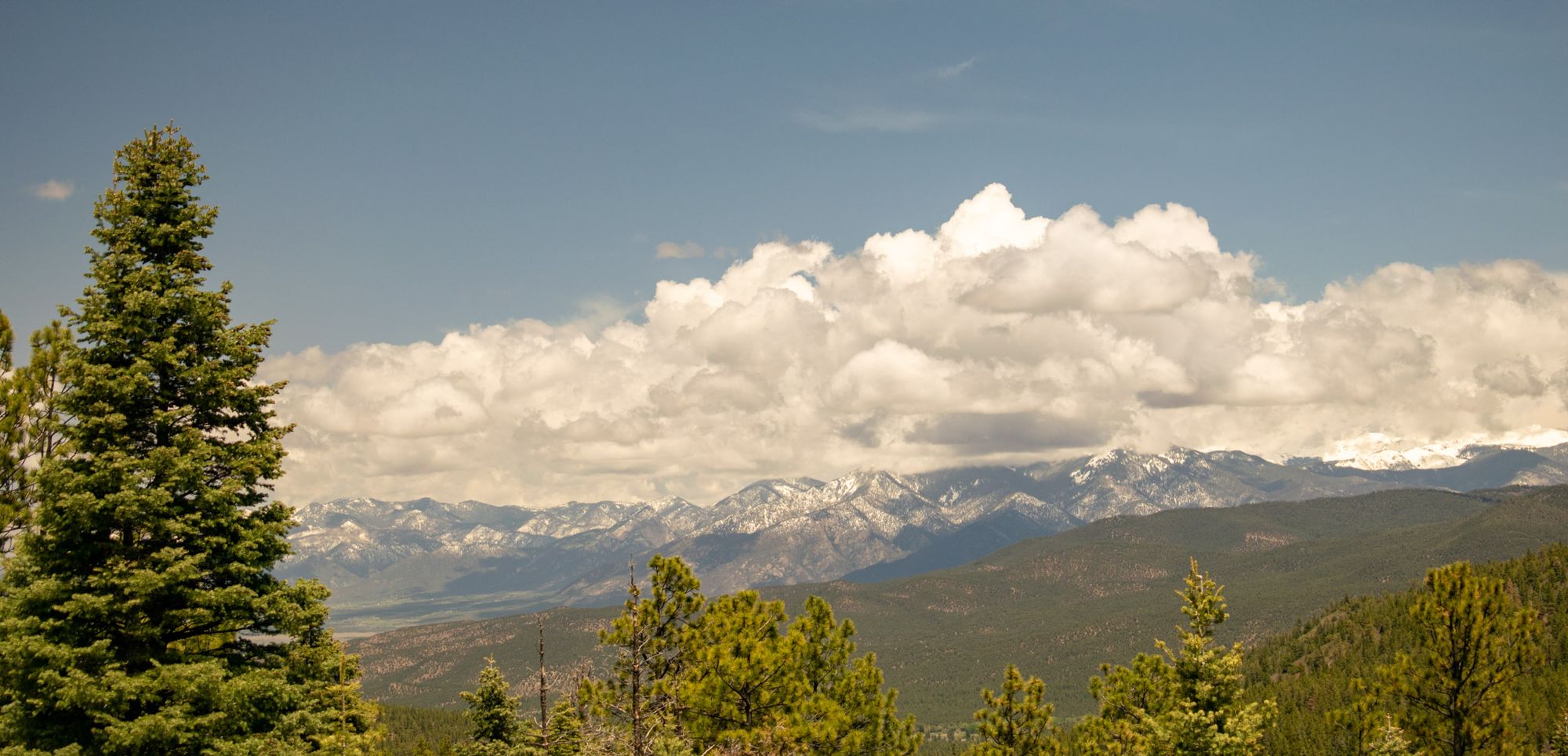 Always Take the High Road