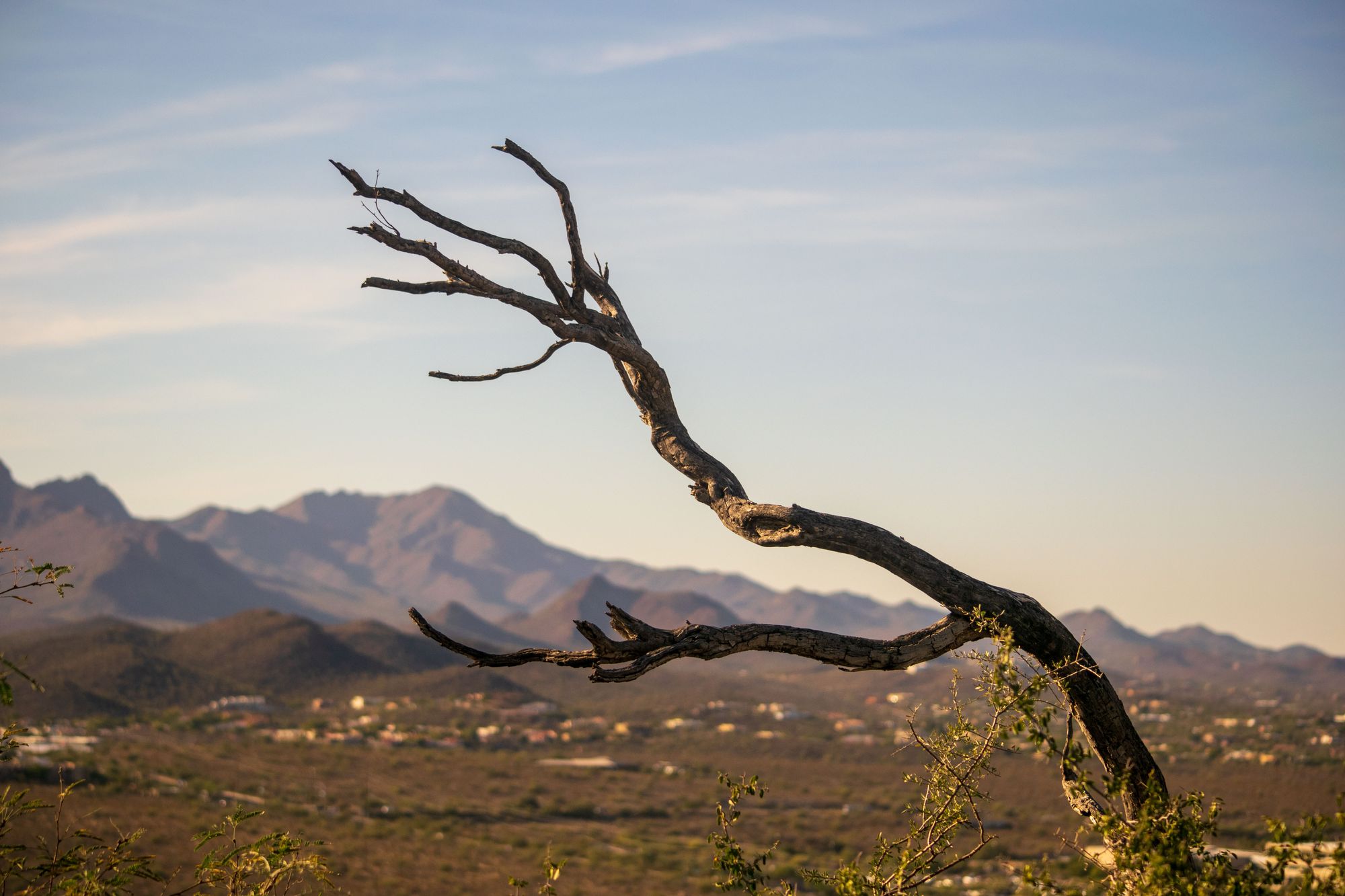 SEEDS Leadership Meeting