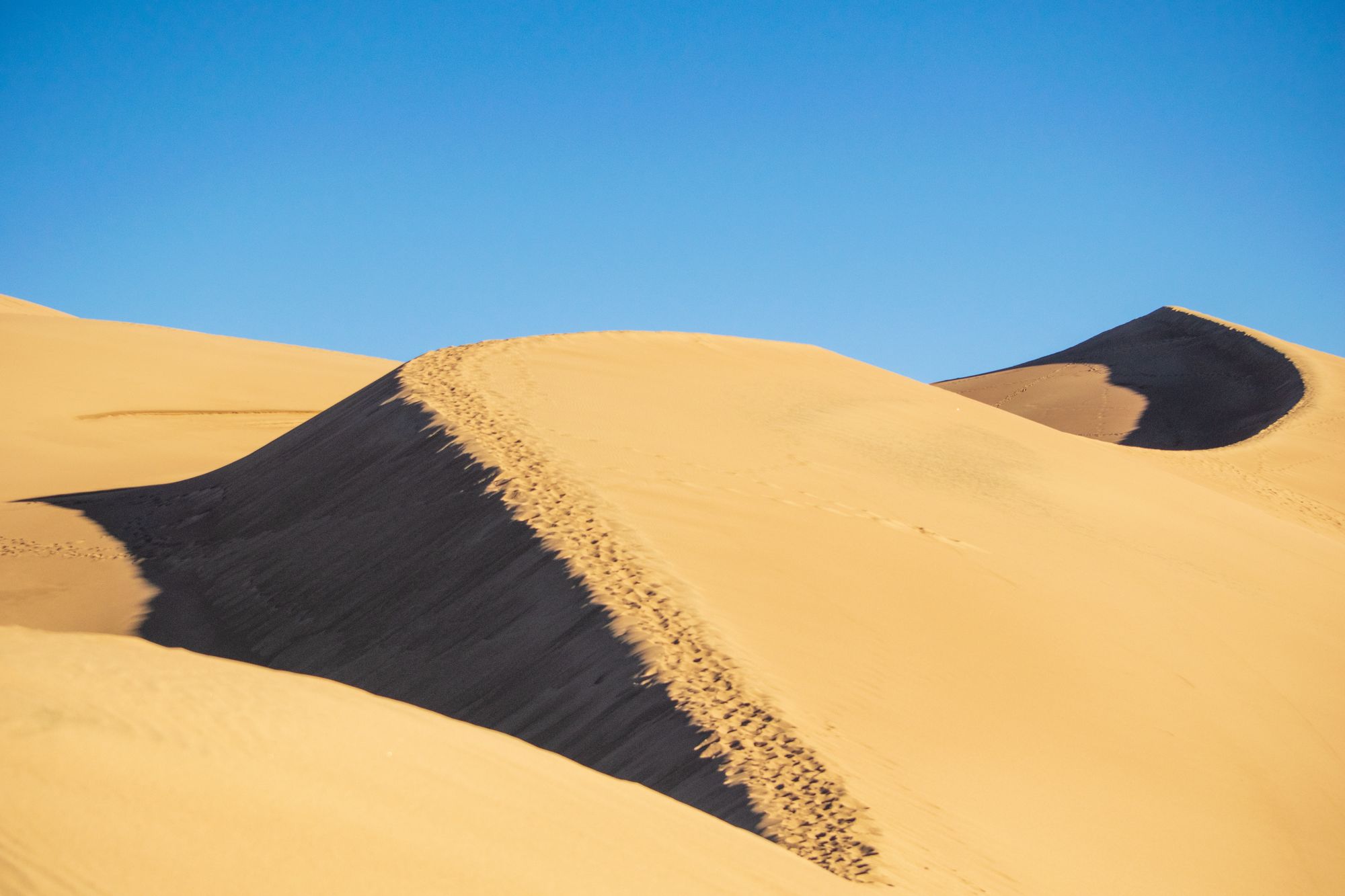 In Colorado with SEEDS