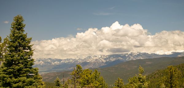 Always Take the High Road