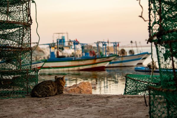 Greetings from Tunisia